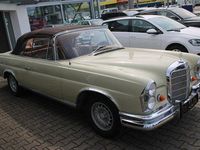 Gebraucht Mercedes W111 SE 150 PS (110 kW) 1967 Beige Cabrio