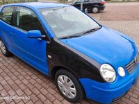 Gebraucht VW Polo Cricket 54 PS (39 kW) 2004 Blau Kleinwagen