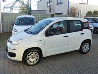 Gebraucht Fiat Panda Easy 69 PS (50 kW) 2020 Weiß Kleinwagen