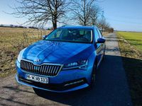 Gebraucht Skoda Superb Ambition 150 PS (110 kW) 2020 Blau Kombi
