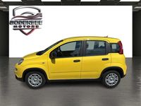 Gebraucht Fiat Panda 69 PS (50 kW) 2024 Gelb Kleinwagen