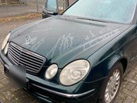 Gebraucht Mercedes E220 2005 Grün Kombi