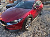 Gebraucht Mazda CX-30 122 PS (89 kW) 2019 Soul red crystal m SUV