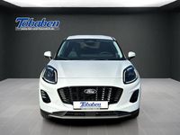 Gebraucht Ford Puma Titanium 125 PS (91 kW) 2025 Frozen white uni SUV
