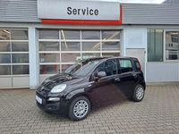 Gebraucht Fiat Panda 69 PS (50 kW) 2025 Schwarz Kleinwagen