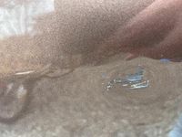 Usata VW T5 2010 Marrone Furgone