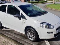 gebraucht Fiat Punto 1.2 8V YOUNG YOUNG
