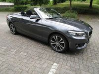 Gebraucht BMW 220 Advantage 184 PS (135 kW) 2019 Grau Cabrio
