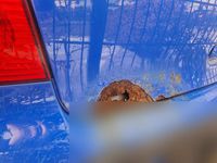 Gebraucht VW Polo 75 PS (55 kW) 2004 Blau Kleinwagen