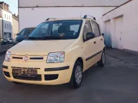 Brugt Fiat Panda Dynamic 60 HK (44 kW) 2010 Gul Hatchback