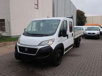 Gebraucht Fiat Ducato 148 PS (108 kW) 2019 Weiß Van