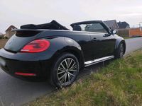 Gebraucht VW Beetle Allstar 105 PS (77 kW) 2016 Schwarz Kleinwagen