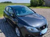 Gebraucht Seat Ibiza Sport 86 PS (63 kW) 2010 Grau Kleinwagen