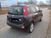 gebraucht Fiat Panda 1.3