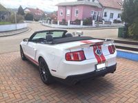 gebraucht Ford Shelby 