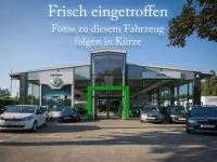 Gebraucht Skoda Karoq Style 150 PS (110 kW) 2019 Grau SUV