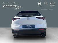 Gebraucht Mazda CX-30 Prime-Line 140 PS (102 kW) 2025 Weiss SUV