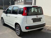Gebraucht Fiat Panda Lounge 69 PS (50 kW) 2017 Weiß Kleinwagen