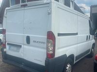 Gebraucht Fiat Ducato 115 PS (84 kW) 2014 Weiß Van