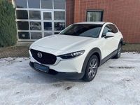 Gebraucht Mazda CX-30 Selection 186 PS (136 kW) 2021 Weiß SUV