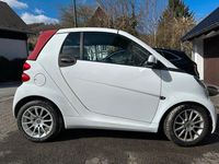 Gebraucht Smart ForTwo Cabrio Pure 71 PS (52 kW) 2012 Weiß Cabrio
