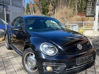 Gebraucht VW Beetle 150 PS (110 kW) 2016 Schwarz Kleinwagen