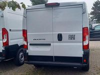 Neu Fiat Ducato 120 PS (88 kW) 2025 Weiß Van