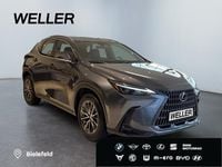 Gebraucht Lexus NX350h 243 PS (178 kW) 2024 Grau SUV