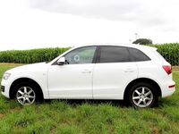 Gebraucht Audi Q5 170 PS (125 kW) 2010 Weiß SUV