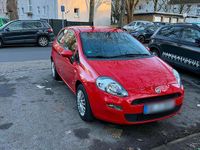 Gebraucht Fiat Punto 69 PS (50 kW) 2015 Rot Kleinwagen