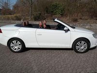 Gebraucht VW Eos Style 122 PS (89 kW) 2009 Weiß Cabrio