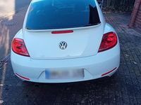 Gebraucht VW Beetle Edition 114 PS (83 kW) 2014 Weiß Kleinwagen