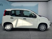 Neu Fiat Panda 69 PS (50 kW) 2025 Weiß Kleinwagen
