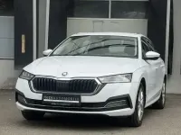 Gebraucht Skoda Octavia First Edition 150 PS (110 kW) 2020 Weiß Limousine