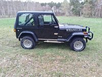 Gebraucht Jeep Wrangler 103 PS (75 kW) 1987 Schwarz SUV