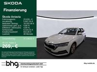 Gebraucht Skoda Octavia Style 116 PS (85 kW) 2023 Candyweiß Kombi