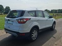 Gebraucht Ford Kuga Cool & Connect 121 PS (88 kW) 2019 Weiß SUV