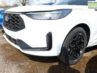 Neu Ford Kuga ST-Line 186 PS (136 kW) 2026 Frozen white SUV