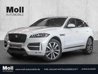 Gebraucht Jaguar F-Pace R-Sport 300 PS (220 kW) 2018 Weiß SUV