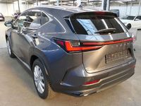Gebraucht Lexus NX350h 190 PS (139 kW) 2022 Grau SUV