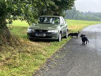 Gebraucht Opel Vectra 82 PS (60 kW) 1998 Grün Limousine