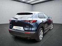 Gebraucht Mazda CX-30 150 PS (110 kW) 2023 Blau SUV