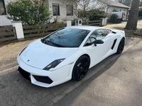 Gebraucht Lamborghini Gallardo 560 PS (411 kW) 2009 Weiß Coupé