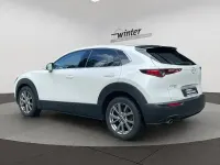 Gebraucht Mazda CX-30 Selection 122 PS (89 kW) 2019 Weiß SUV