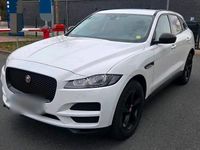 Gebraucht Jaguar F-Pace 165 PS (121 kW) 2017 Weiß SUV