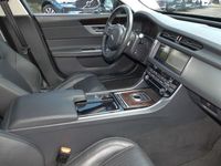 gebraucht Jaguar XF Prestige 30d Niveau Panorama Navi Leder Memory Sitze Soundsystem Meridian Sperrdiff.