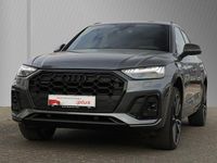 Gebraucht Audi Q5 Basis 204 PS (150 kW) 2024 Daytonagrau perleffekt SUV