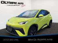 Neu BYD Dolphin Surf Comfort 60 kW (82 PS) 2026 Grün Kleinwagen