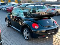 gebraucht VW Beetle 1.4 Cabriolet Klima 1.Hand TÜV NEU