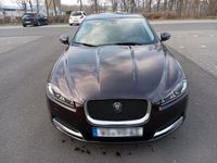 gebraucht Jaguar XF 3.0 BiTurbo Besondere Ausstattung TOP!!!